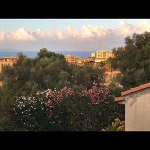 Meet your Posher, Alice